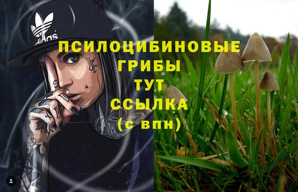 каннабис Алексин