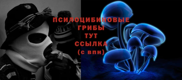 мяу мяу мука Алзамай