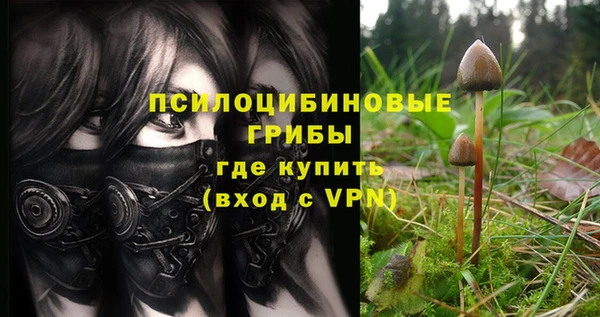 каннабис Алексин