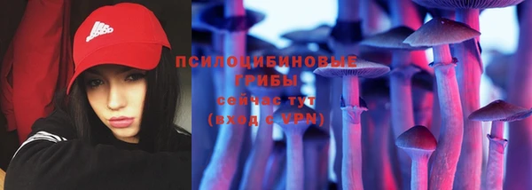 мяу мяу мука Алзамай