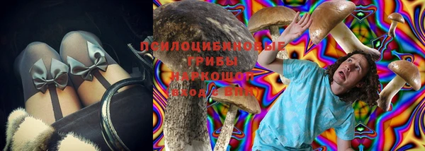 мяу мяу мука Алзамай