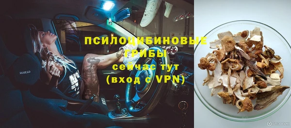 мяу мяу мука Алзамай